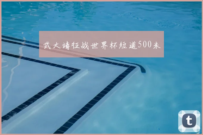 武大靖征战世界杯短道500米