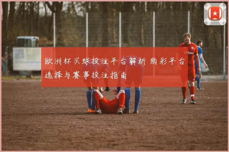 欧洲杯买球投注平台解析 购彩平台选择与赛事投注指南