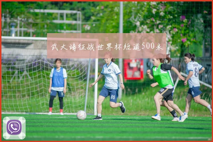 武大靖征战世界杯短道500米